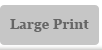 Large Print